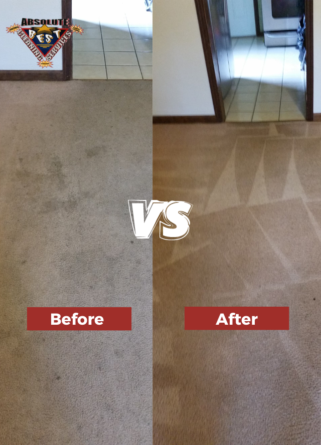 Upholstery Cleaning wet vac